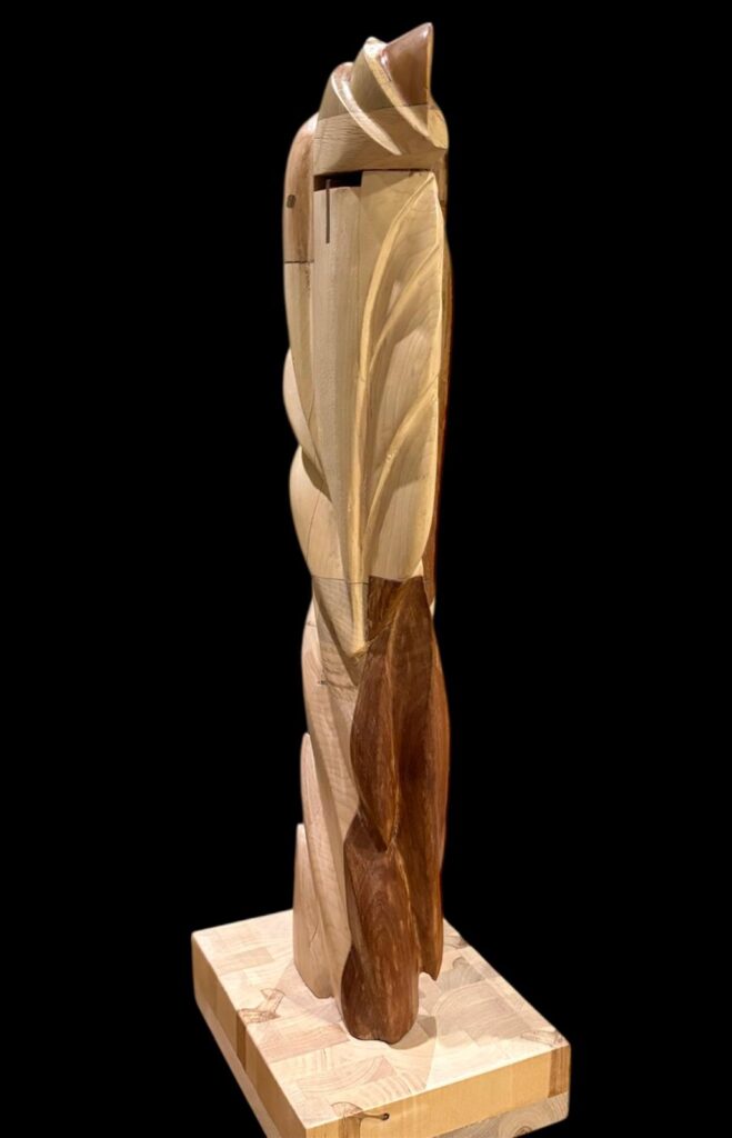 Inicio whatsapp image 2026 03 08 at 2.56.05 pm (2)