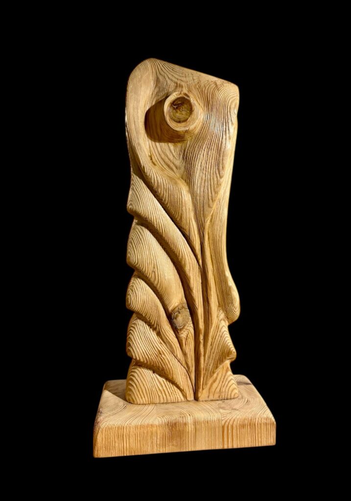 whatsapp image 2026 03 18 at 2.49.00 pm