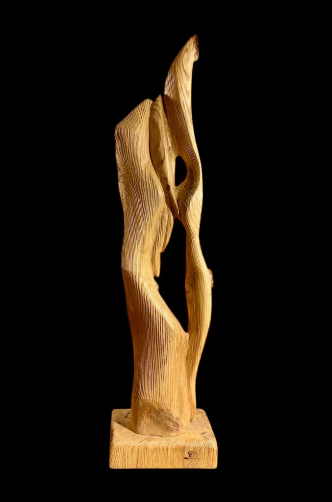 whatsapp image 2026 03 18 at 6.25.51 pm (1)