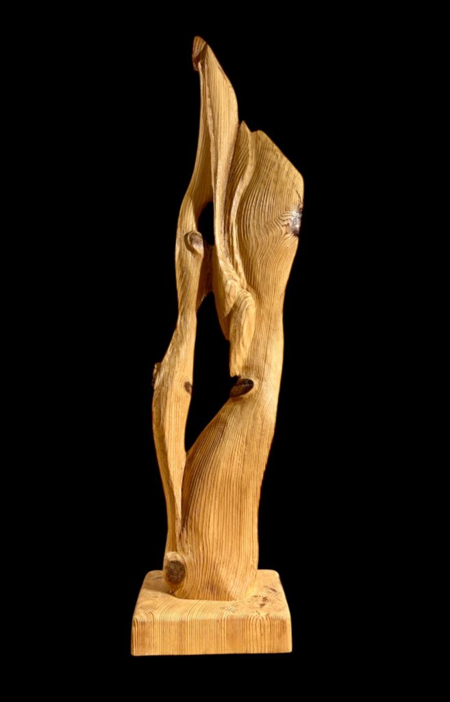 whatsapp image 2026 03 18 at 6.25.51 pm