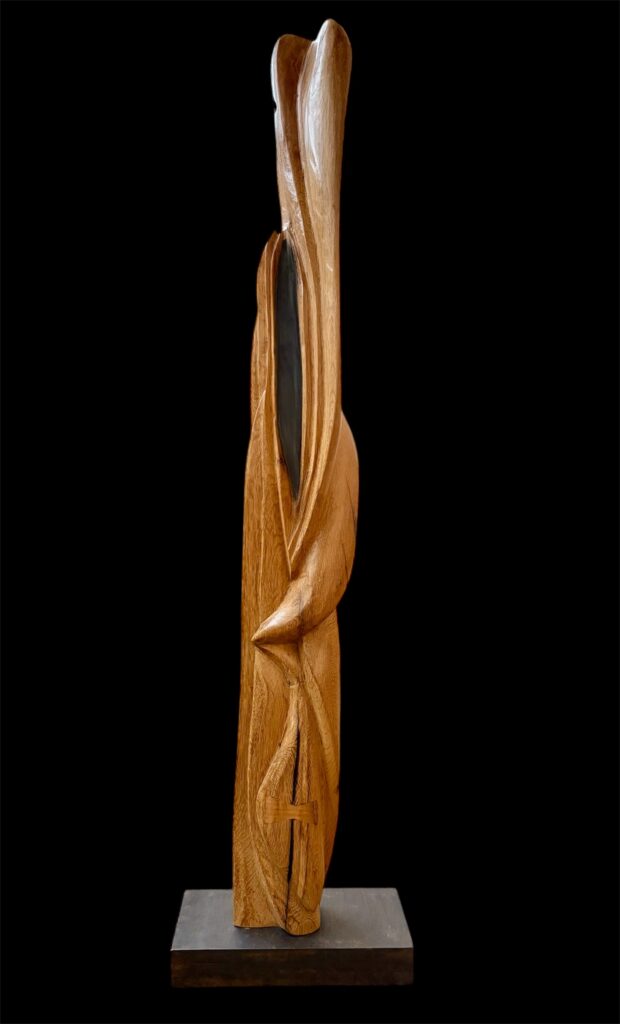 Inicio zipwp-image-2439.jpg